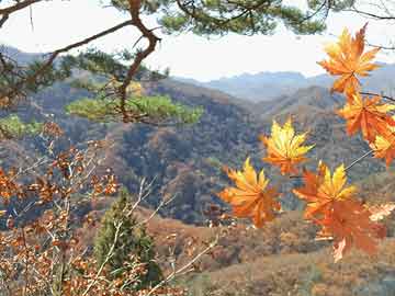 韩国的不要脸岂止是体育赛场，在电竞赛事上也是一副丑恶嘴脸